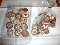 4月のオススメ商品